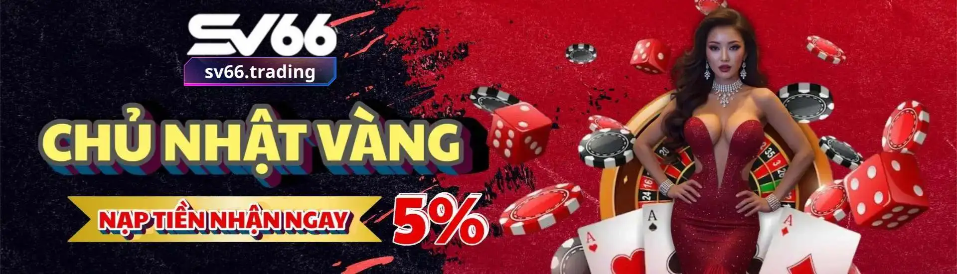 banner-sv66