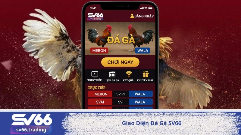 Giao Diện Đá Gà SV66