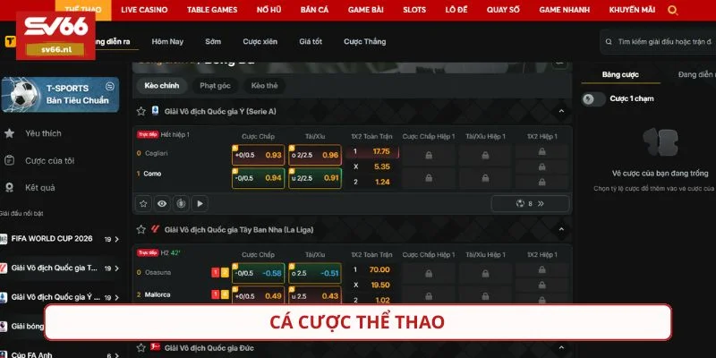 Sảnh cá cược thể thao SV66 cung cấp tỷ lệ kèo hấp dẫn