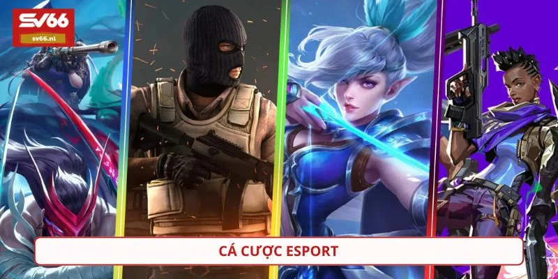 Sảnh Esport cung cấp nhiều tựa game thi đấu hấp dẫn